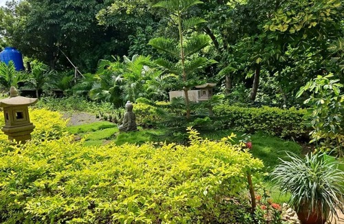 Western Nicaragua Apartment | Cozy 1-bedroom apartment in awesome Managua with WiFi