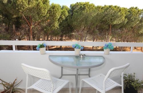 Larnaca Apartment | Cozy Holiday Apartment In Larnaca Near Foinikoudes