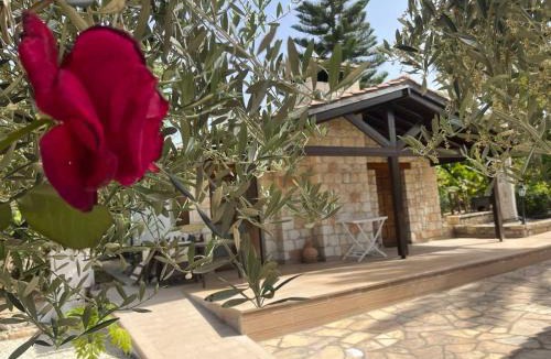 Anarita Villa | DEMICHANNA POOL HOUSE AND LUXURY SUITE WITH PRIVATE POOL