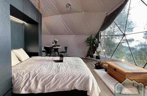 Vavatsinia Other | Dome in Nature