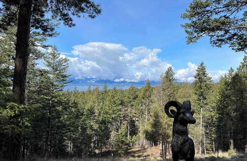 Bigfork Cabin | Elk Crest Cabin, Perfect Getaway in the Woods