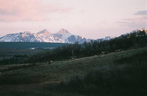 Babb House | Elk Willows Home -Wildlife & Breathtaking Views-Minutes to Glacier East Entrance