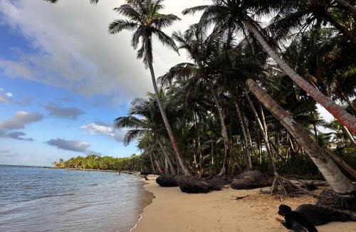 Little Corn Island House | ENSUEÑOS NATURAL RESERVE Little Corn Island Nicaragua