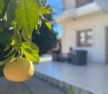 Episkopi Villa | EPISKOPI VILLA, Luxury 4 Bedroom with Pool - Limassol
