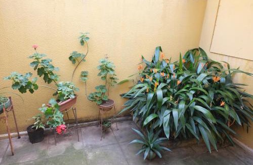 Matagalpa Hostel | Hostal La Buena Onda