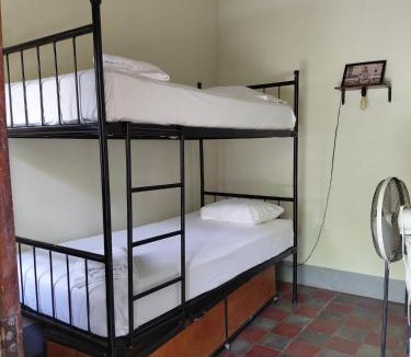 Leon Hostel | Hostal La Tortuga Booluda