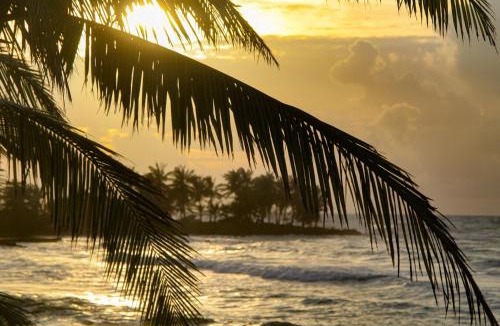 Corn Island Hotel | Hotel Casa Canada