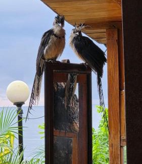 Santo Domingo Cabin | Hotel Finca Santo Domingo, Isla de Ometepe