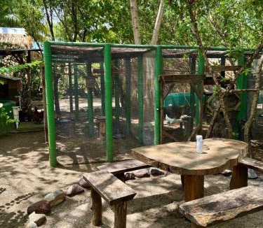 Aserradores Bed & Breakfast | Jardin Secreto