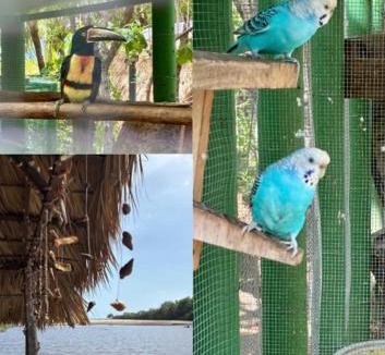 Aserradores Bed & Breakfast | Jardin Secreto