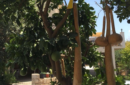 Tala Apartment | LARGE 1 BEDROOM FLAT FOR HOLIDAY LET IN TALA VILLAGE