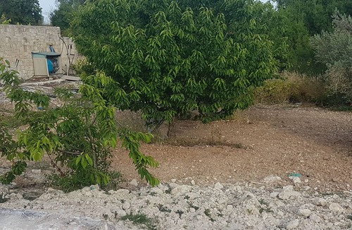 Lasa Villa | Lasa valley villa