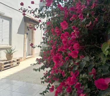 Meneou Villa | Leonidas Seaside