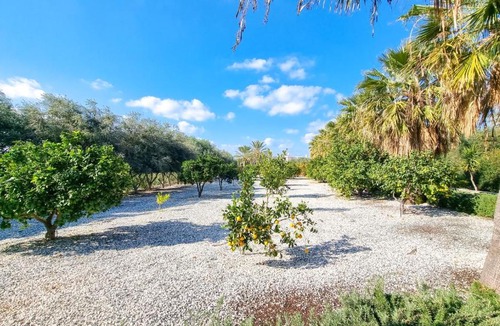 Pegeia Villa | Leto 13 Villa