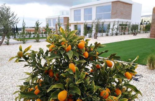 Peyia Town House | Luxuriöse Villa Mit 4 Schlafzimmern, Pool Und Whirlpool