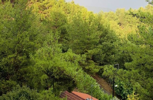 Vasa Koilaniou Villa | Luxury House-,Troodos Mountains,forest