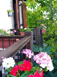 Arsos House | Magdalous House