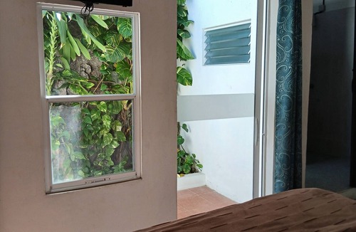 Managua House | Managua Inn