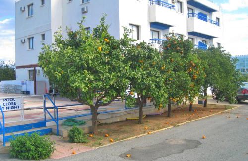 Protaras Apartment | Maouris Hotel Apartments