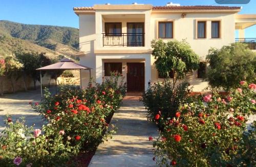 Pomos Apartment | Maritsa's Roses Apartments
