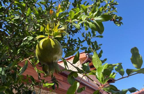 Lofou House | Melograno Lofou