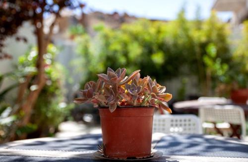 Old Town of Limassol House | MeMeraki Artist Residency