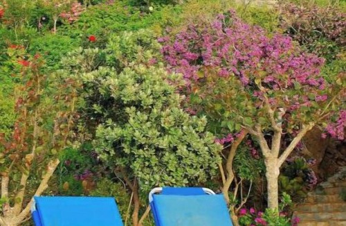 Latchi Apartment | Mourayio 'Thalassa'