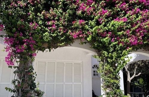 Peyia Town Villa | New Cyprus 3BR Villa Private Pool Best Sandy Beach by the Sea