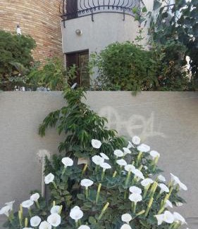 Agia Fyla House | Nikola's House