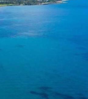 Latsi Apartment | Nikos Latchi Harbour