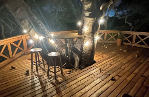 Playa La Redonda House | Oceanfront Tree House - Casa Arbol Grande