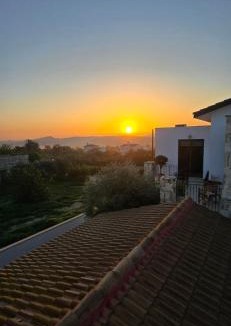 Skarinou Villa | Olive Garden's Paradise Villa