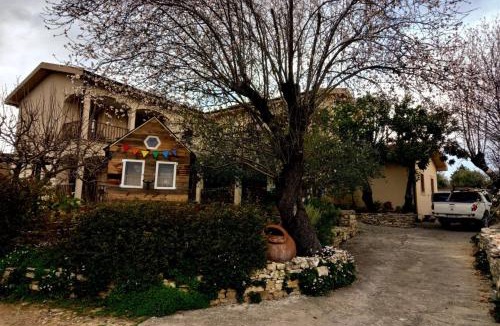 Anogyra House | Olive Tree House