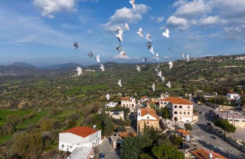 Peristerona House | Peristerona, Olive Manor Boutique Stone- built Stay for 8 people close to Polis and Paphos
