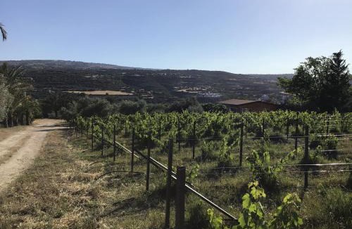 Pano Arodhes House | Pervolaris Cottages 1