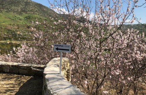 Episkopi House | Piskopos Country House
