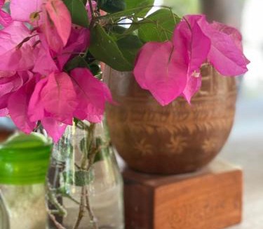 Ometepe Island House | Playa Casa Nohelia
