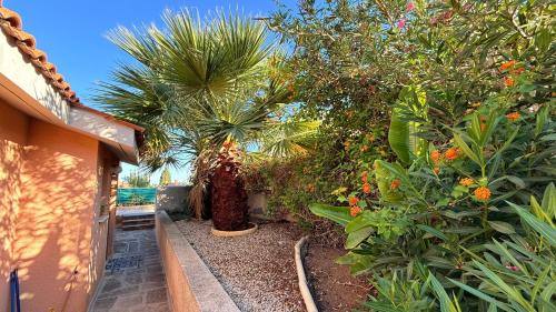 Chlorakas Villa | Private House in Paphos