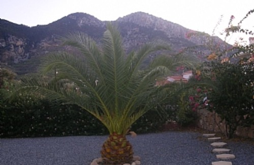 Kyrenia District Villa | Private Pool And Magnificent Sea And Mountain Views