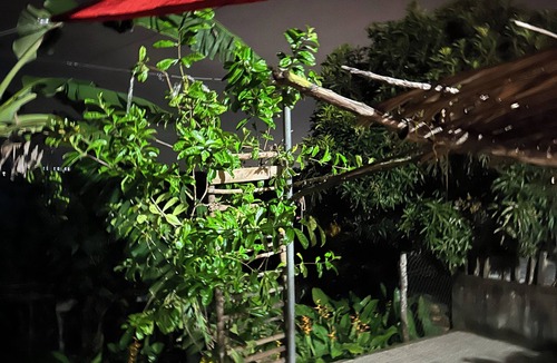 Masaya House | Quaint 1-bedroom country house in tranquil farm