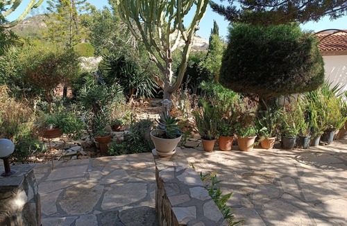 Pissouri Apartment | Rantzo Holiday Studio no 9