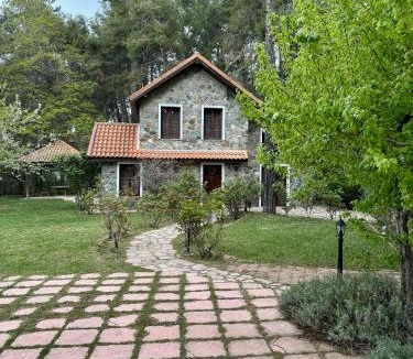 Platres Villa | Rose Garden Platres
