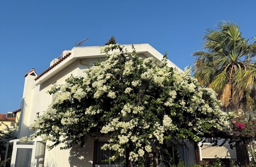 Pernera Villa | Saint Nicholas Villa - 2 min walk to Beach