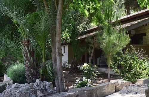 Miliou Hotel | Secret Forest