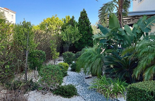 Chlorakas Apartment | Spacious 3-bedroom apartment with private garden in Chloraka.