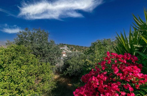 Paphos House | Stylish Village Stone-House, with Private Plunge Pool