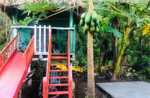 Ometepe Island House | Sunflower Cottage near Ojo de Agua