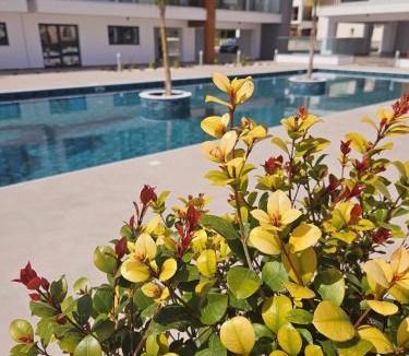 Universal Apartment | Superior Apartment, Universal Residences