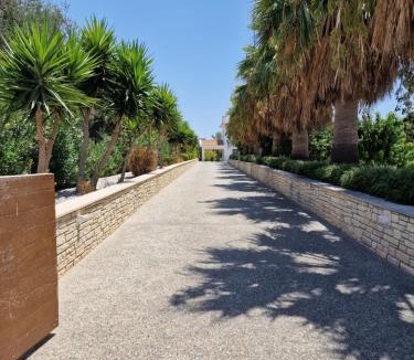 Pegeia Villa | The Family Nest Villa in Cyprus
