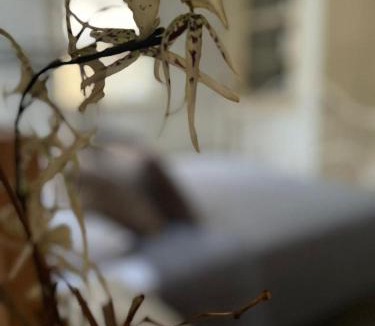 Nicosia House | The Old Town Heritage House